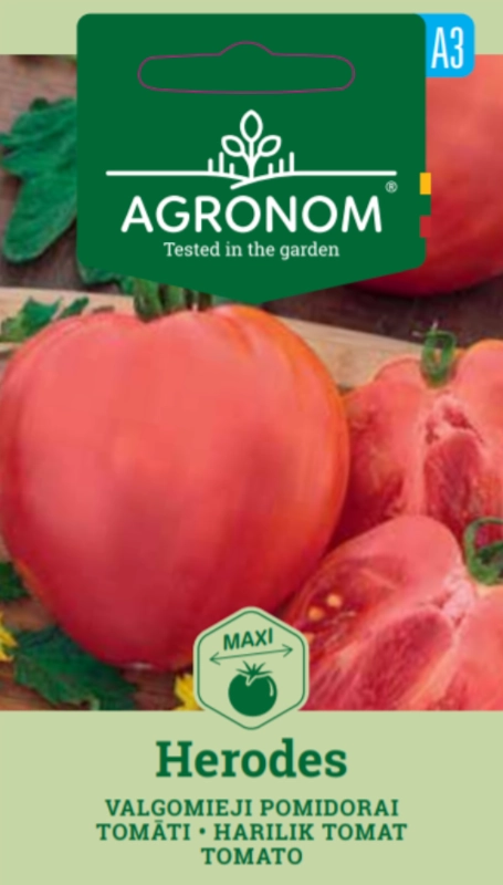 Pomidor Herodes odmiana o smacznych owocach typu bawole serce nasiona AGRONOM sklep rajogrodnika